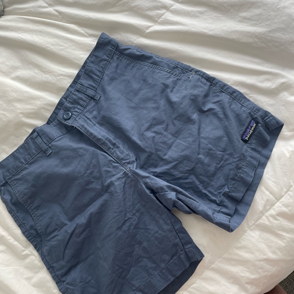 Patagonia mens  shorts